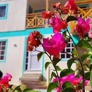 Colorful Garden House Providencia (Narino)